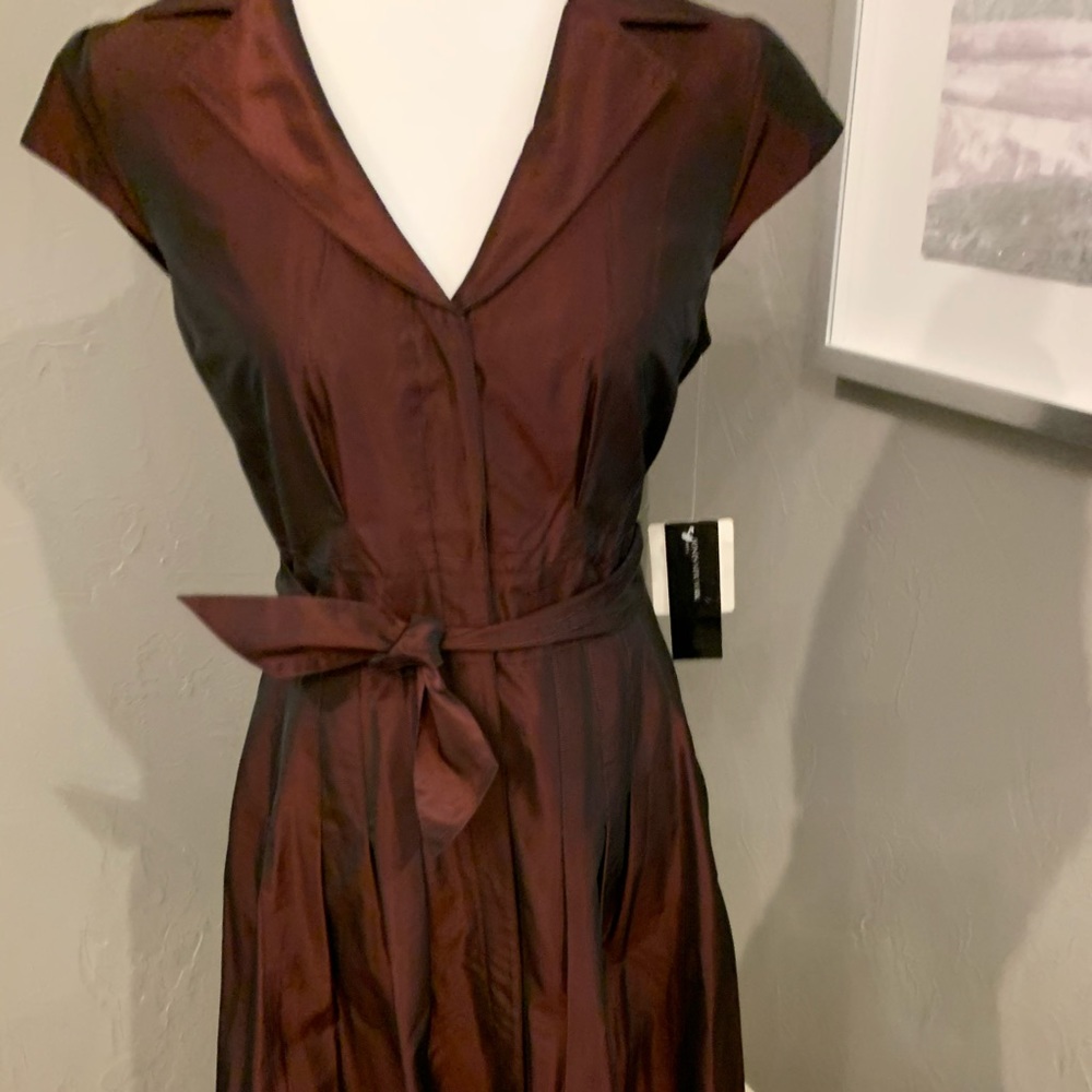 Beautiful maroon metallic finish dress.